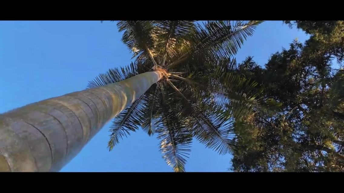 Hostal Johnnier Macao Punta Cana Dış mekan fotoğraf